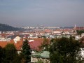 _MG_0365