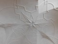 DSCN4573