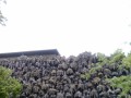 IMG-20160919-WA0005