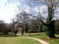 IMG_0021