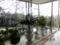 IMG_0038