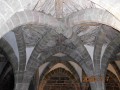 IMG_0113