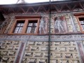IMG_0187