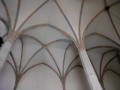 IMG_0247