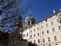 IMG_0542