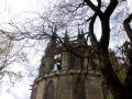 IMG_0733