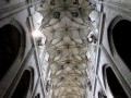 IMG_0735