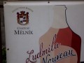 IMG_0849