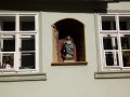 IMG_1337