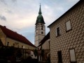 IMG_1450