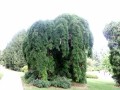 IMG_1750