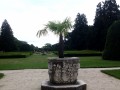 IMG_1767