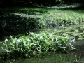 IMG_1807