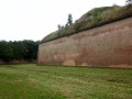 IMG_1845