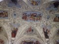 IMG_1885