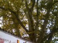 IMG_20151030_102314