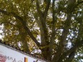 IMG_20151030_102314