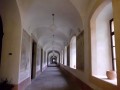 IMG_2309