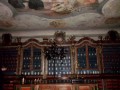IMG_2351