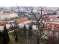 IMG_2478 (1)