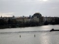 IMG_2488 (1)