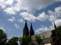 IMG_3151