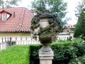 IMG_3396