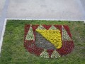 IMG_3411