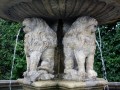 IMG_3441