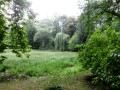 IMG_3477