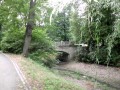 IMG_3484