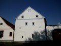 IMG_3587