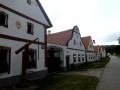 IMG_3616