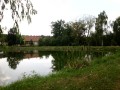 IMG_3650
