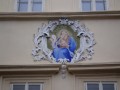 IMG_3726