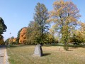IMG_3771