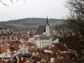 IMG_4293