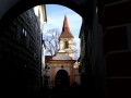 IMG_4302